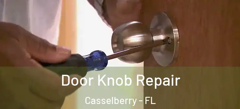  Door Knob Repair Casselberry - FL