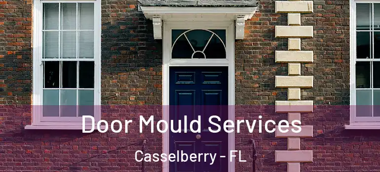  Door Mould Services Casselberry - FL