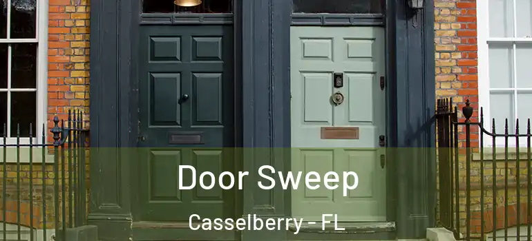  Door Sweep Casselberry - FL