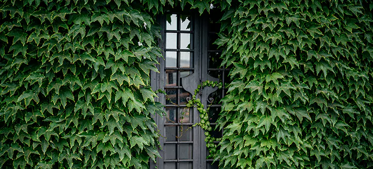 Garden Gate Repair in Casselberry, FL