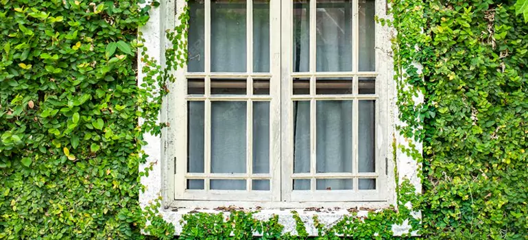 Garden Window Repair Near Me in Casselberry, FL