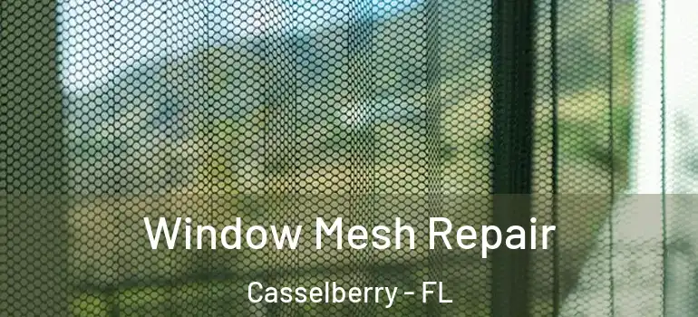  Window Mesh Repair Casselberry - FL