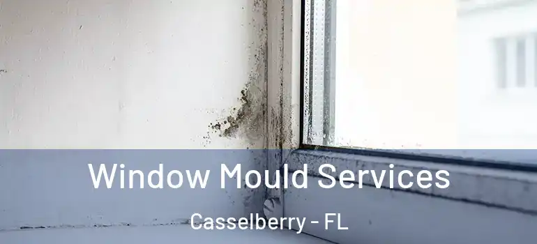  Window Mould Services Casselberry - FL